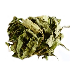 HAM-STAKE TOPINAMBUR LIŚCIE i ZIELE 50g dla gryzoni i królików hs.55